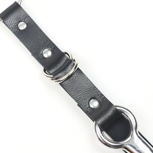 Anal Hook with EverydayUse and Leash Collar 5853 Kinky 0721